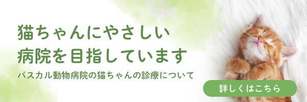 猫ちゃんにやさしい病院を目指しています パスカル動物病院の猫ちゃんの診療について
