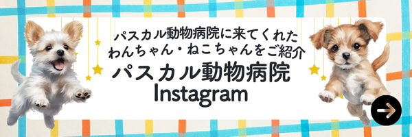 パスカル動物病院 Instagram