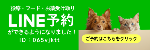 パスカル動物病院 LINE