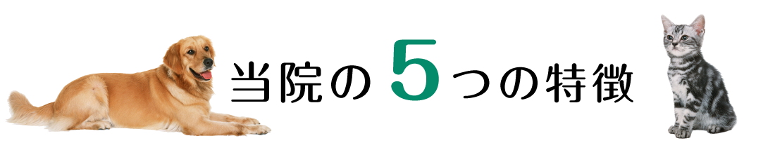 当院の5つの特徴